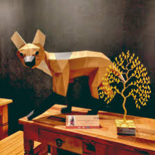 foto Not&iacute;cia Guará