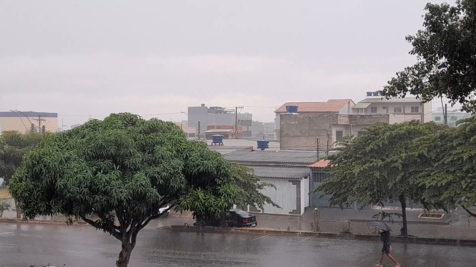 foto Not&iacute;cia Guará